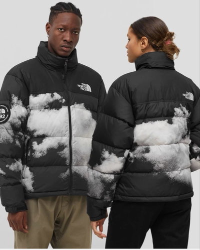 Campera de Pluma 700 The North Face Hombre