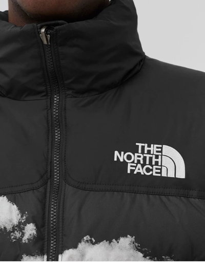 Campera de Pluma 700 The North Face Hombre