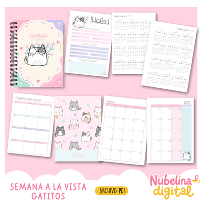 🐱✨ Gatitos Pastel 2027✨🐱