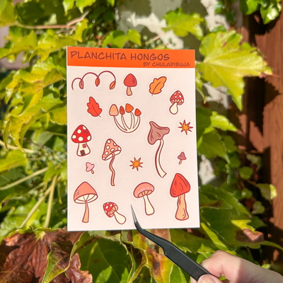 Planchita Hongos