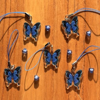 Charm mariposa azul