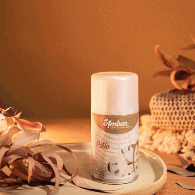 Aerosol Patio 280 ml. 