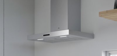 Extractor/Purificador Puelo 