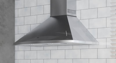 Campana Extractor/Purificador Lanin 750 Mm Tst De Pared