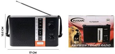 RADIO FM/AM CON CARGA USB YUEGAN