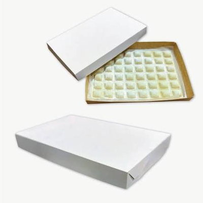CAJA RAVIOLES X 100 UNIDADES (R360)