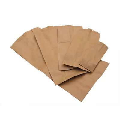 BOLSA KRAFT NRO 2 X 100U