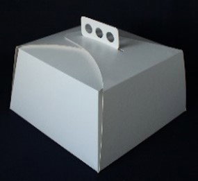TORTA BLANCA ECO ( 27X27X15 ) X UNIDAD 