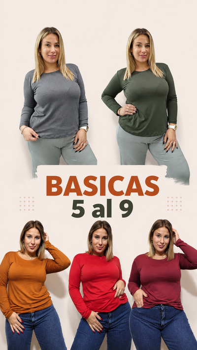 BASICAS