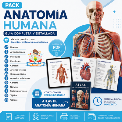 Anatomía humana