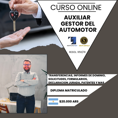 AUXILIAR GESTOR DEL AUTOMOTOR