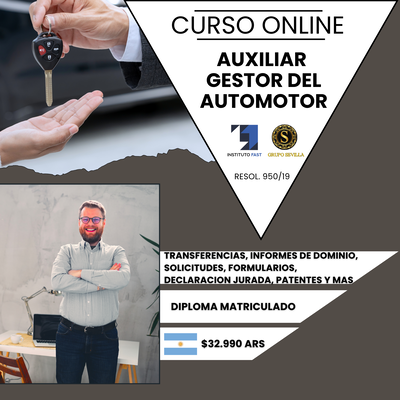 AUXILIAR GESTOR DEL AUTOMOTOR