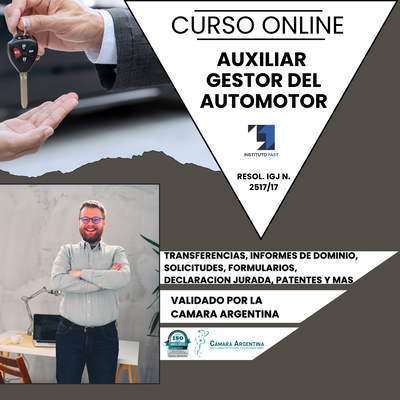 AUXILIAR GESTOR DEL AUTOMOTOR