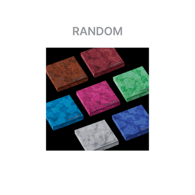 ENHYPEN - THE SIN: VANISH - VERSION FUGITIVES RANDOM