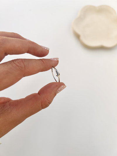 Anillo ancla 