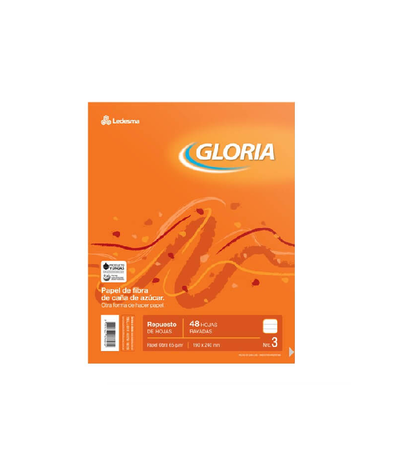 Repuesto de Hojas Gloria N°3 Cuadriculadas 48 hs