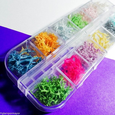 FLORES SECAS PARA UÑAS - RAMAS