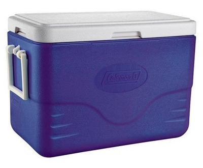 Conservadora Coleman Beach 28 Qt 26 L