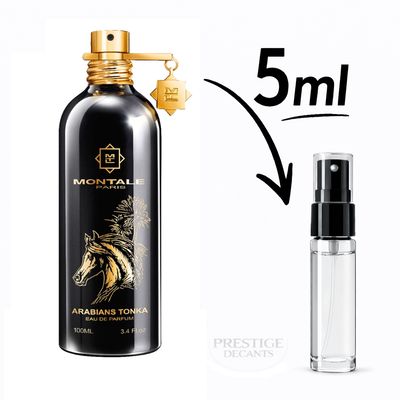 Arabians Tonka - Montale