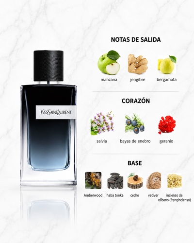 Y EDP - Yves Saint Laurent