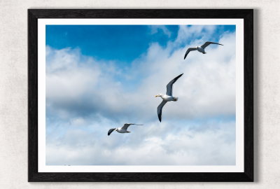 Vuelo a las nubes
