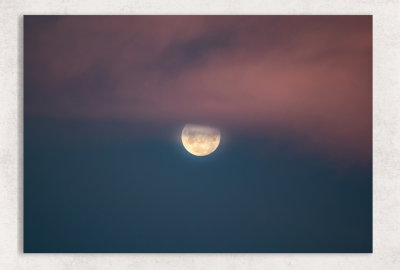 Luna de algodón