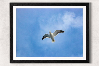 Libertad