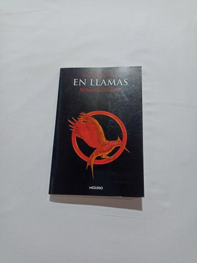 En llamas