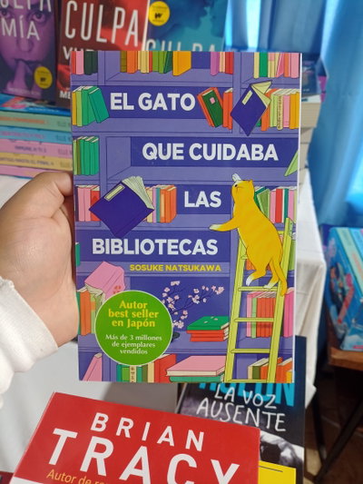 El gato que cuidaba las bibliotecas
