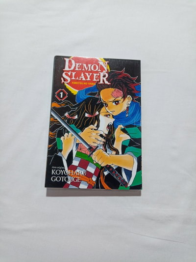 Demon slayer
