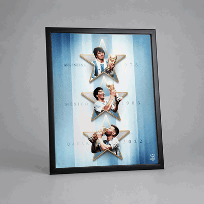 Cuadro Argentina Campeón Messi Maradona Passarella 20x25cm
