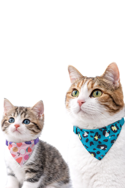 Collar Bandana para Perros y Gatos