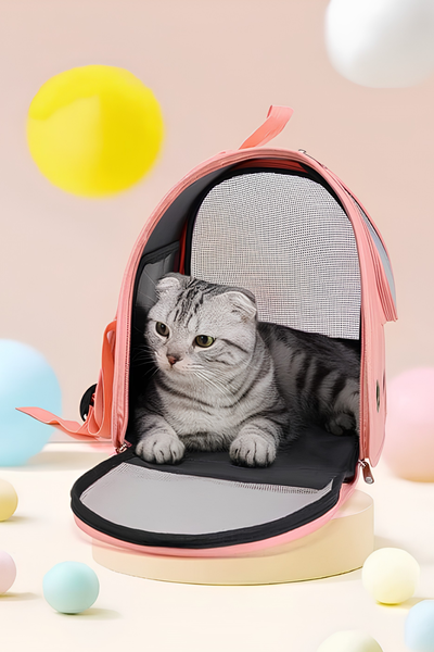 Mochila transportadora