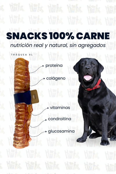 Pipe trachea