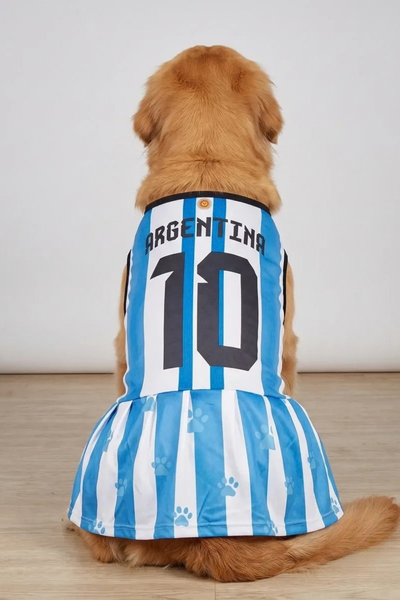 Camiseta Argentina