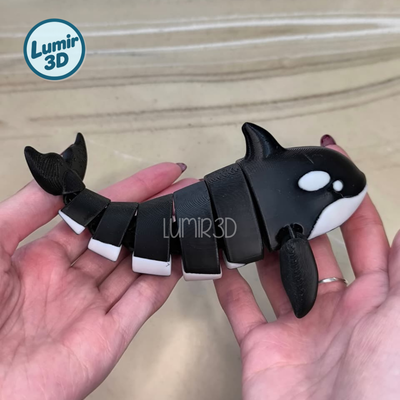 Orca Articulada