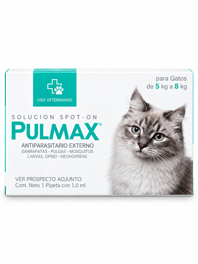 Pulmax Pipeta Gatos 5-8 kg
