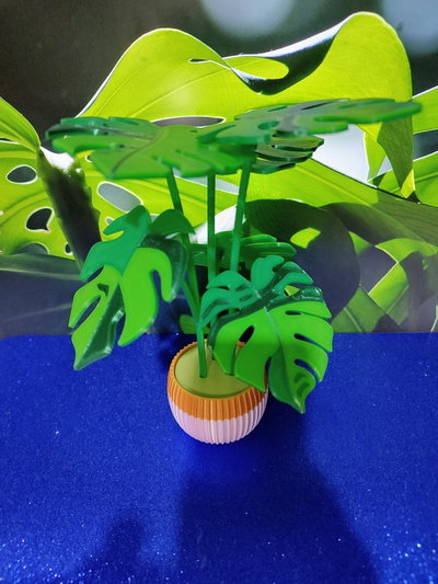 Set 6 Hojas Posavasos Magneticos Planta Monstera