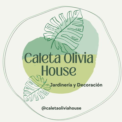 Logo Caletaoliviahouse