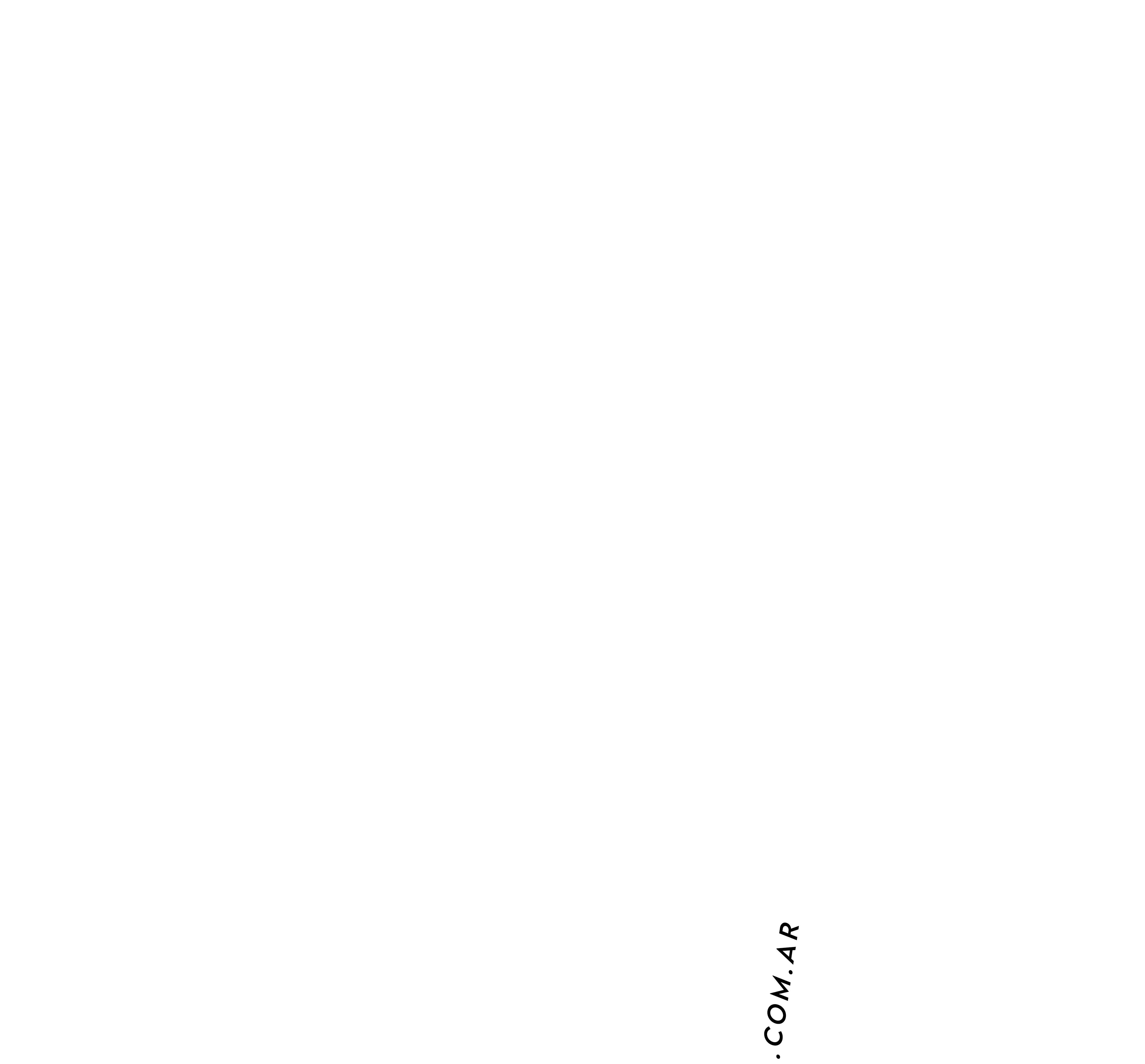 Undefined burbi remeras