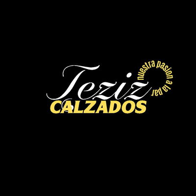 Logo Tezizcalzados 