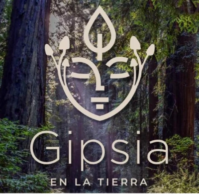 Logo Gipsia en la tierra