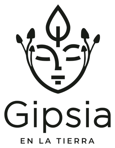 Logo Gipsia en la tierra