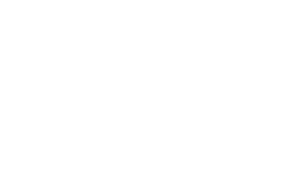 Logo SHH STRAPS
