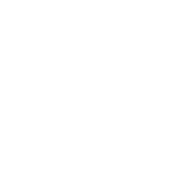 Logo Lupita bags