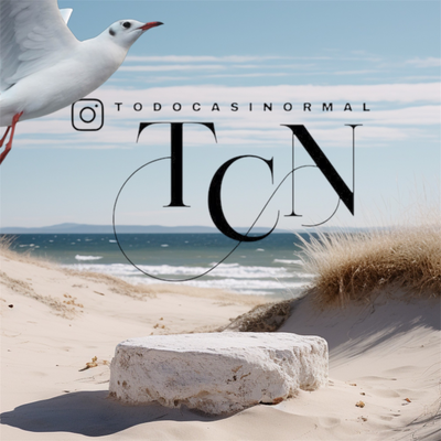 Logo TODOCASINORMAL