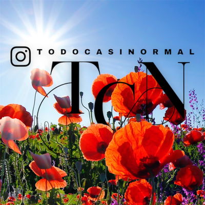 Logo TODOCASINORMAL