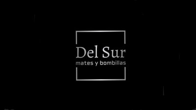 Logo delsur