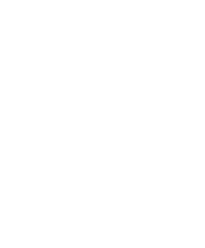 Logo SL sportswear