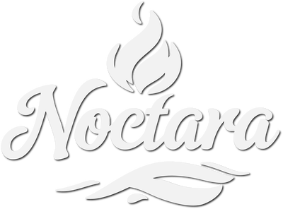 Logo Noctara